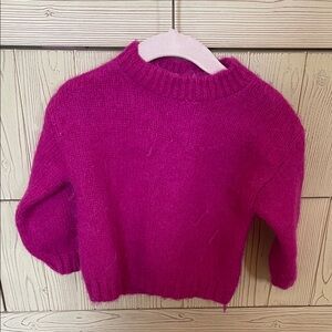 Zara Kids Fuchsia Sweater